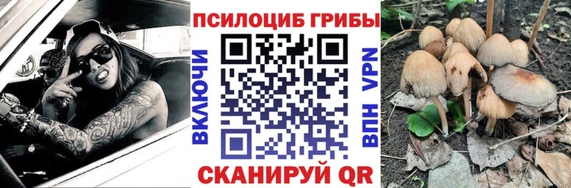 Псилоцибиновые грибы Cubensis  Новоузенск 